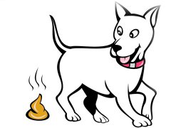 周公解梦梦见狗屎是什么意思