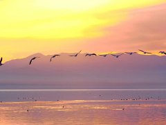 周公解梦梦见自己在飞是什么意思