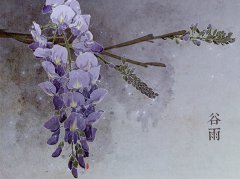 2016年谷雨是什么时候 猴年谷雨是几月几日