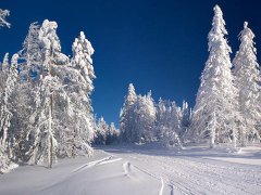 周公解梦梦见冰天雪地是什么意思