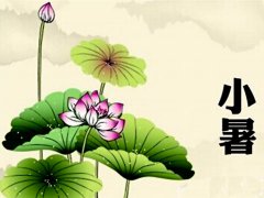 2016小暑是几月几日几点 猴年小暑是哪一天