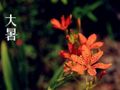 2016大暑是几月几日几点 猴年大暑是哪一天