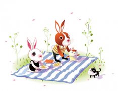 属兔和什么属相相冲