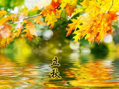 2016年立秋是几月几日几点 猴年立秋时间