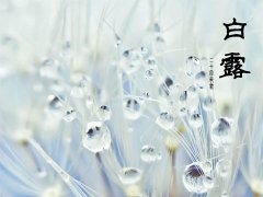 2016年白露节气是几月几号几点