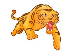 属虎男人女人的性格特点
