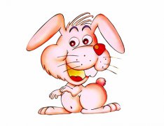 属兔男人女人的性格特点