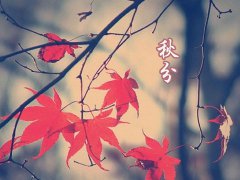 2016年秋分是几月几日几点