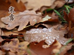 2016年寒露是几月几号几点