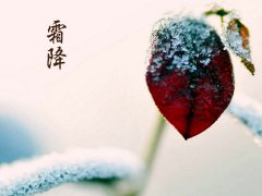 2016年霜降是几月几日几点