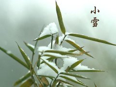2016年小雪是几月几号几点