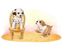 属狗的出生年份 生肖狗是哪一年