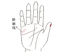 没有婚姻线的男人女人代表什么
