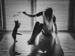 周公解梦梦见亲人杀人是什么意思