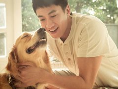 周公解梦梦见前男友不理我是什么意思