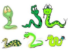 周公解梦做梦梦见好多蛇是什么意思