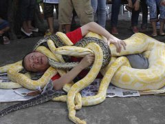 周公解梦梦见很多蛇缠身是什么意思