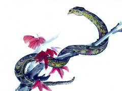 1989年属蛇的属相婚配表