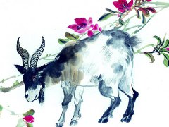 1991年属羊的属相婚配表