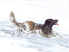 1994年属狗的属相婚配表