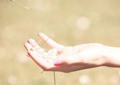 属牛佩戴什么吉祥物好