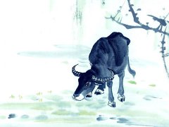 1997年属牛的属相婚配表