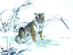 1998年属虎的属相婚配表