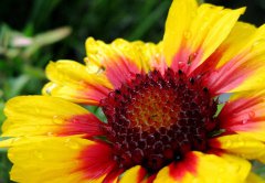 属马的几点出生命最好 属马出生时辰的命运