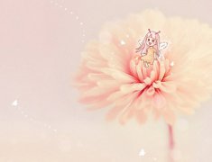 属猴的人穿什么颜色的衣服最好