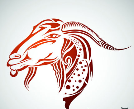 怎么对摩羯座女生求婚最能成功 起名网