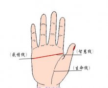 为什么女人断掌会克夫
