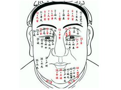 男性女性面相全解