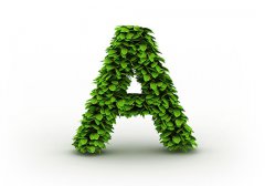 A开头的女生英文名字大全