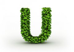 U开头的女生英文名字大全