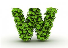 W开头的女生英文名字大全