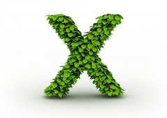 X开头的女生英文名字大全