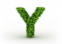 Y开头的女生英文名字大全