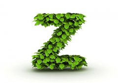 Z开头的女生英文名字大全