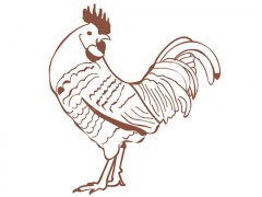 2017年属鸡的人取什么名字好