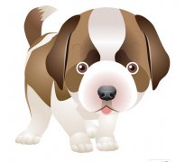 属狗的人2017年幸运色和幸运数字