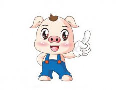 属猪的人2017年幸运色和幸运数字