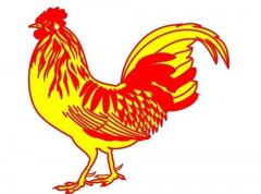 属鸡的属相婚配表大全