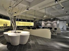 详解12生肖办公室风水