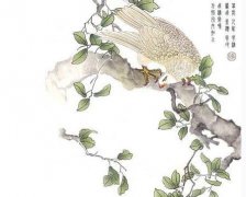 天府星在夫妻宫