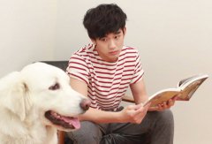 面相解析杏眼的男人如何