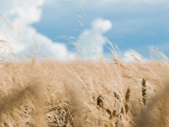 痣的位置与命运：哪些痣相比较招财运