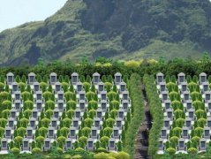 破坏坟墓的风水有什么