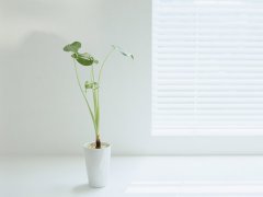 面相观人的欲望层次如何