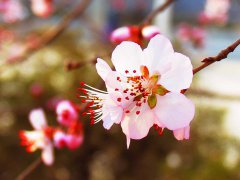 古代著名面相学故事分享