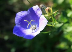 绝密经典相学著作《六亲黄金策》分享大全